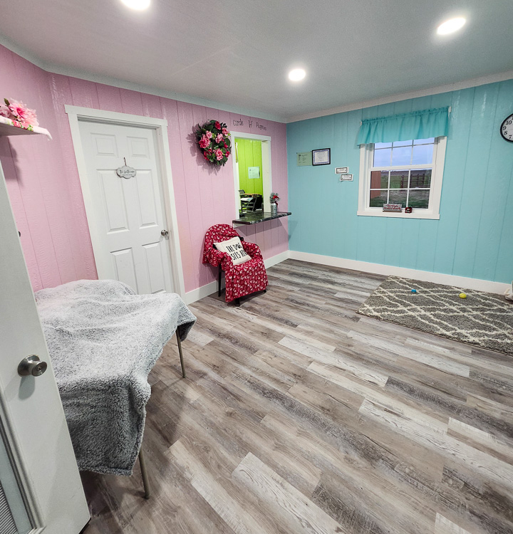 Shih Tzu Puppies - Champaign Shih Tzu2