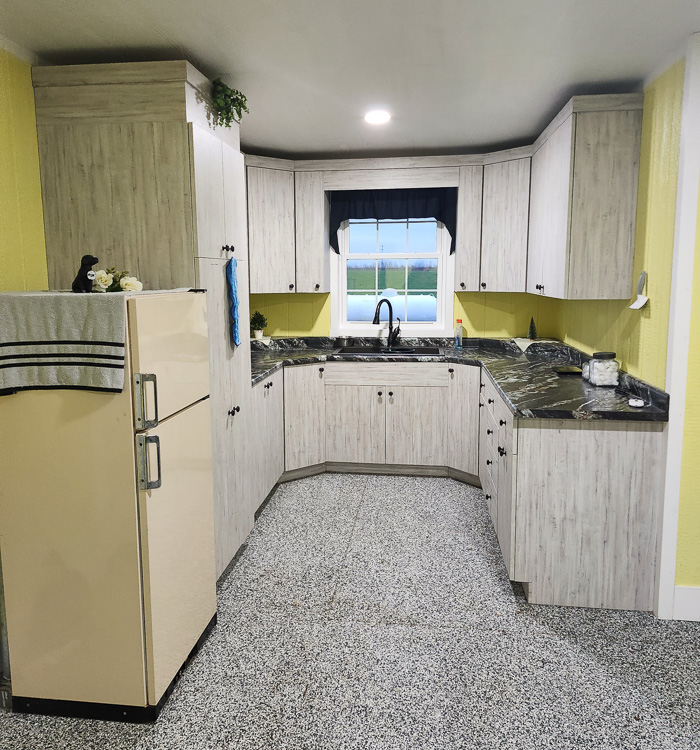 Shih Tzu Puppies - Champaign Shih Tzu3